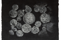 FLYASH1-edited-scaled