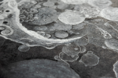 Overview-Fly-Ash-I-scaled