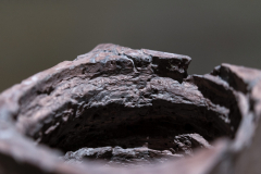 Overvieww-MoCAB-5-scaled